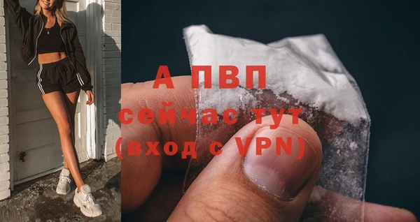 круглые Осинники
