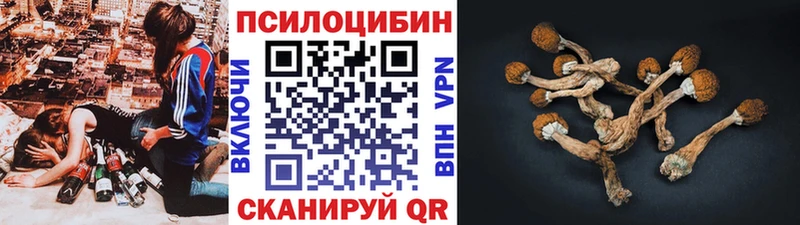 Псилоцибиновые грибы Psilocybine cubensis  ссылка на мегу   Курильск  купить  